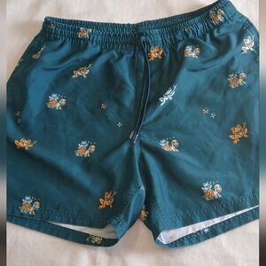 Men's Teal Swim Shorts with Turtle Print